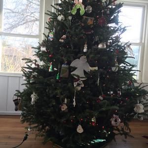 Meet your Posher, Catherine